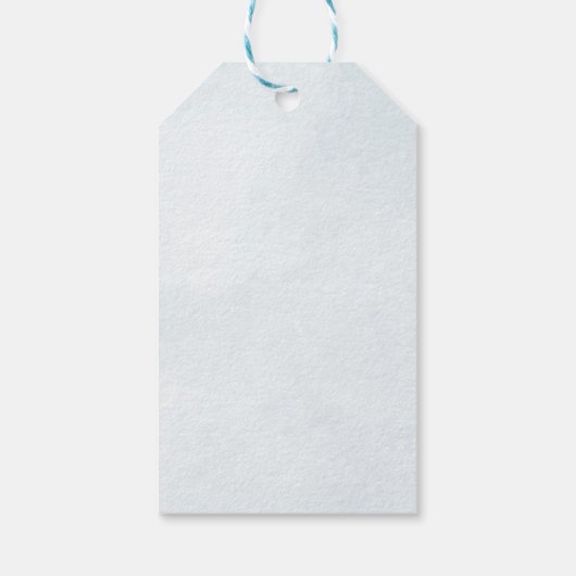 Moderne blauwe ballon eucalyptus baby jongen dank  cadeaulabel (Achterkant)