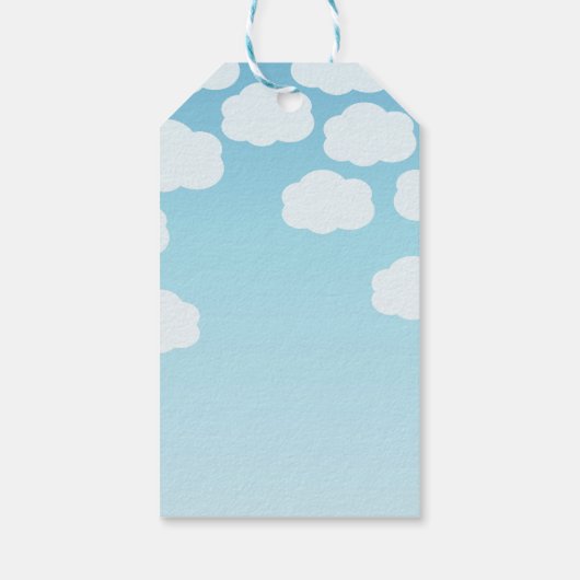 Moderne Blauwe Groene Ballonnen Baby Jongen Eerste Cadeaulabel (Achterkant)