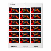 Moderne Bloemen Abstracte Kunst Sinaasappel Blauw Etiket (Full Sheet)
