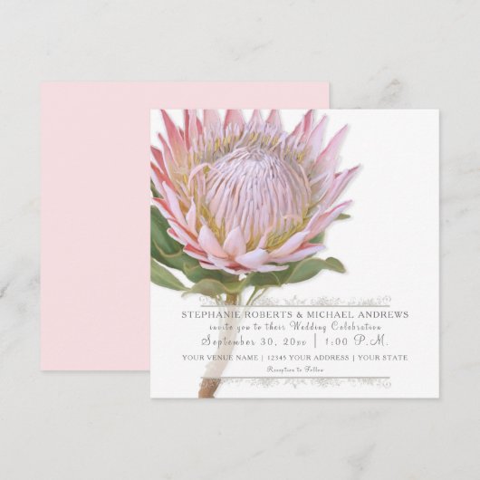 Moderne Bloemen Elegante Eenvoudige Roze Protea Bl Kaart (Voorkant / Achterkant)