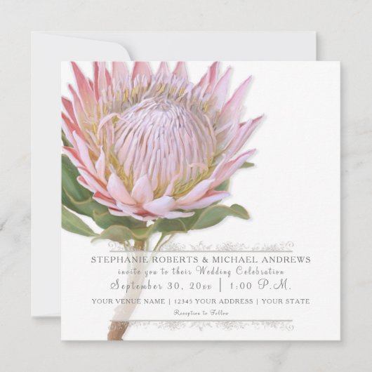 Moderne Bloemen Elegante Eenvoudige Roze Protea Bl Kaart (Voorkant)