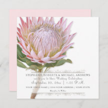 Moderne Bloemen Elegante Eenvoudige Roze Protea Bl