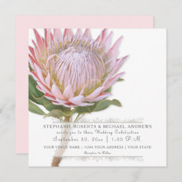 Moderne Bloemen Elegante Eenvoudige Roze Protea Bl Kaart