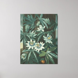 Moderne bloemenschilderkunst canvas afdruk