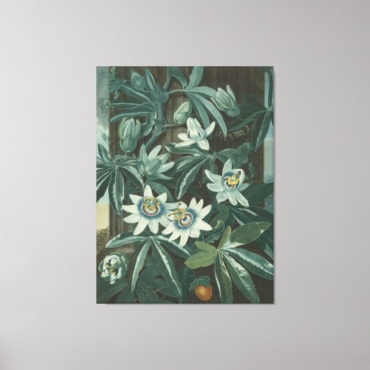 Moderne bloemenschilderkunst canvas afdruk (Voorkant)