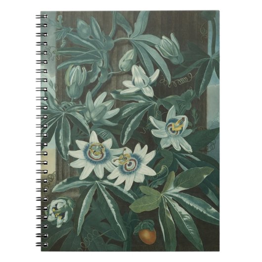 Moderne bloemenschilderkunst notitieboek (Voorkant)