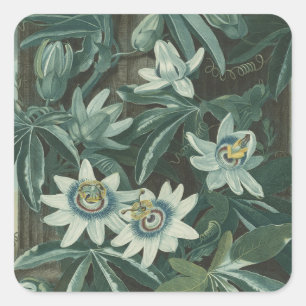 Moderne bloemenschilderkunst vierkante sticker