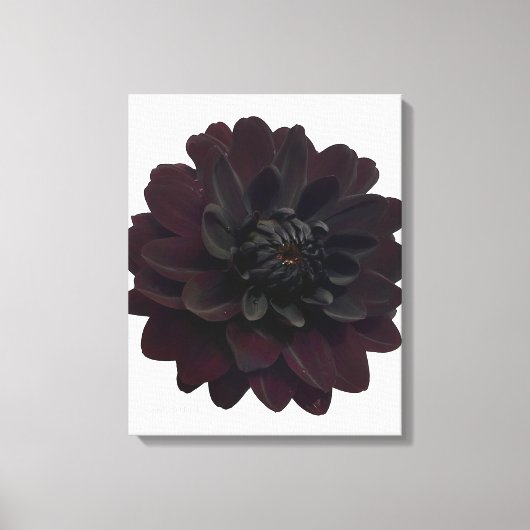 Moderne bloemige zwarte Dahlia bloem Canvas Afdruk (Voorkant)