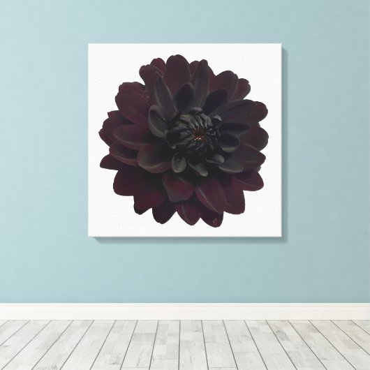 Moderne bloemige zwarte Dahlia bloem Canvas Afdruk (Insitu (Houten vloer))