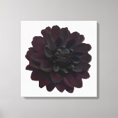 Moderne bloemige zwarte Dahlia bloem Canvas Afdruk (Voorkant)