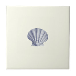 Moderne Blue Zee Shell op Ivoor Tegeltje