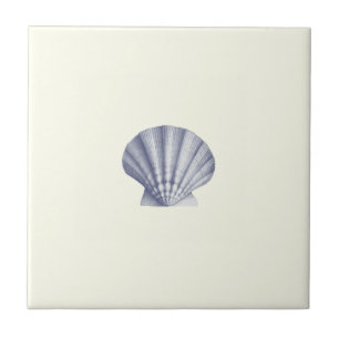 Moderne Blue Zee Shell op Ivoor Tegeltje
