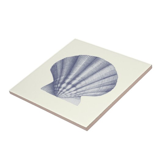 Moderne Blue Zee Shell op Ivoor Tegeltje (Zijkant)