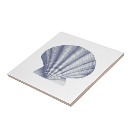Moderne  Blue Zee Shell Tegeltje (Zijkant)