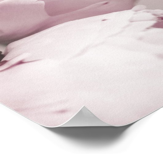 Moderne Blush Roze Pioenfoto Print (Hoek)