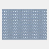 Moderne boerderijvakantie  blauw inpakpapier vel (Voorkant 3)