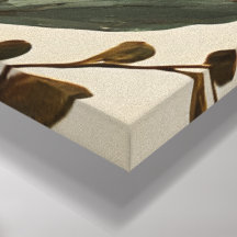 Moderne Boho Botanische Abstracte Wandkunst