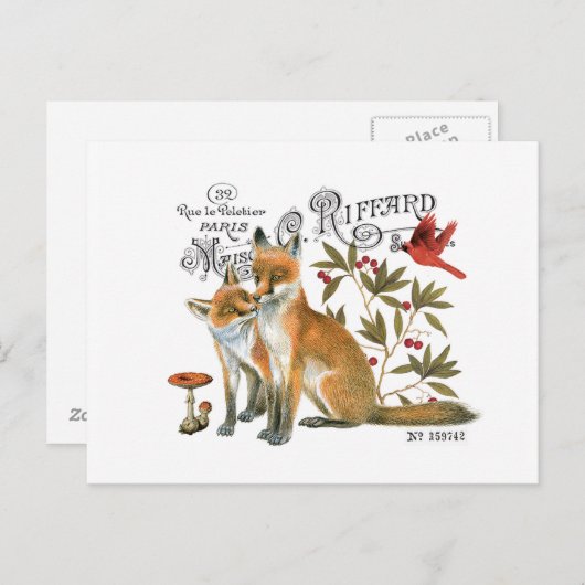 moderne bosvos briefkaart (Voorkant / Achterkant)