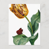 Moderne Botaical Tulip Wedding Suite Details Informatiekaartje (Achterkant)