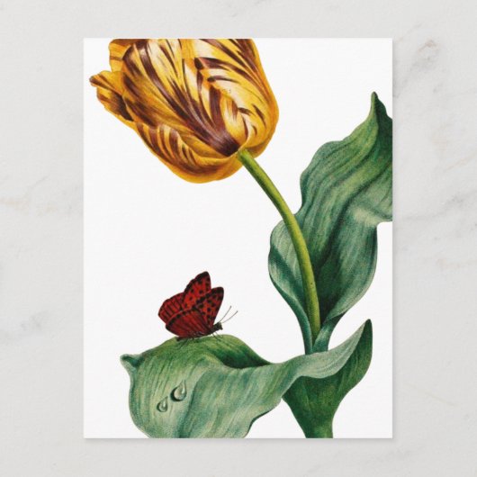 Moderne Botaical Tulip Wedding Suite Details Informatiekaartje (Achterkant)