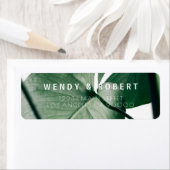 Moderne Botanische Collecties labels (Insitu)