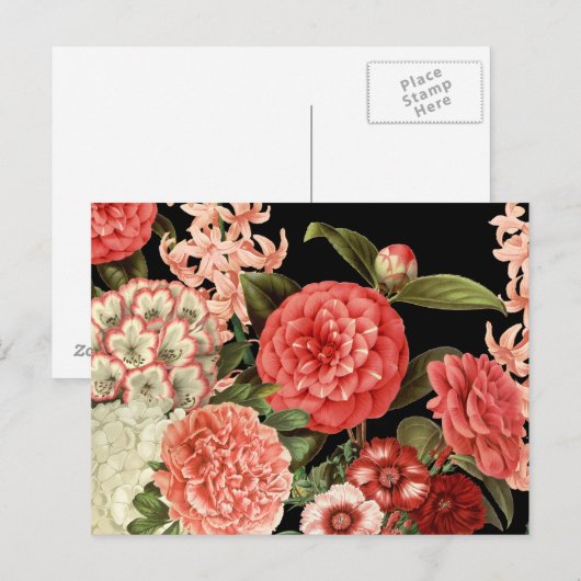 moderne  botanische roze bloemen briefkaart (Voorkant / Achterkant)