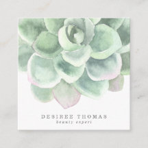 Moderne botanische sloep groene legant Succulent