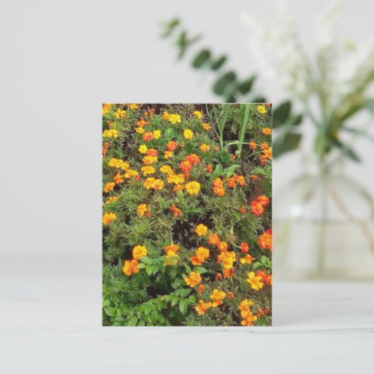 Moderne  Botanische Tuin Post kaart (Staand voorkant)