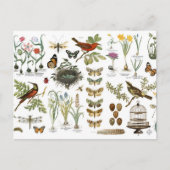 moderne  botanische vogels en bloemen briefkaart (Voorkant)