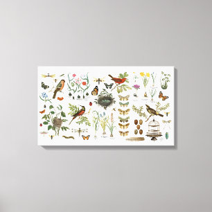 moderne botanische vogels en bloemen in frankrijk canvas afdruk