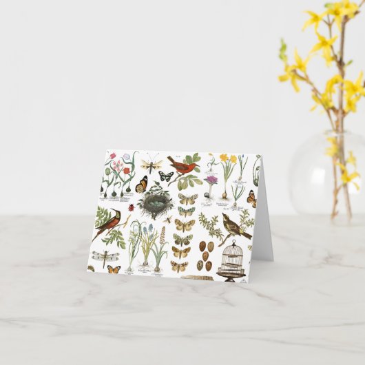 moderne  botanische vogels en bloemen in frankrijk kaart (Gele Bloem)