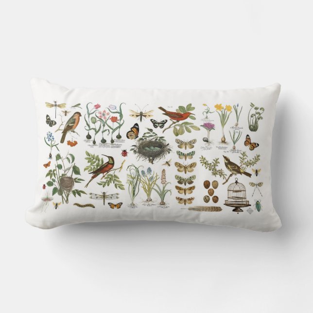 moderne  botanische vogels en bloemen in frankrijk kussen (Voorkant)