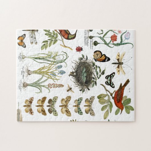 moderne  botanische vogels en bloemen in frankrijk legpuzzel (Horizontaal)