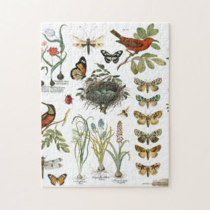moderne  botanische vogels en bloemen in frankrijk legpuzzel