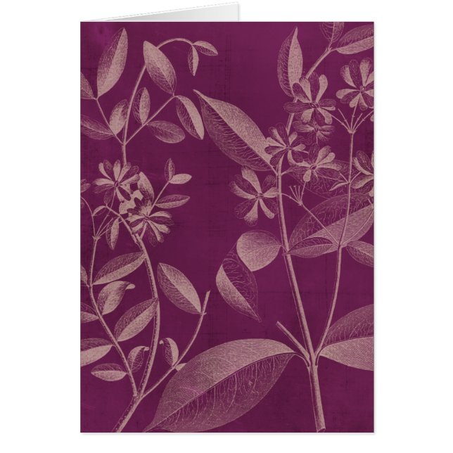 Moderne botany III (Voorkant)