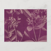 Moderne botany III Briefkaart (Voorkant)