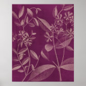 Moderne botany III Poster (Voorkant)