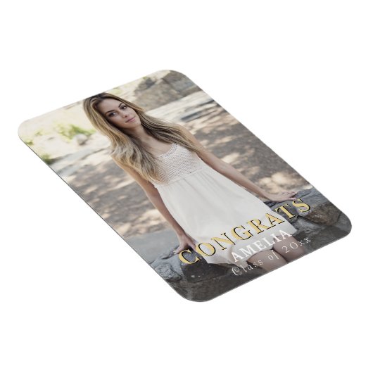 Moderne bouwt het Volledige Afstuderen Magnet van  Magneet (Rechterzijde)