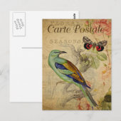 Moderne  Briefkaart voor het collage van vogelpest (Voorkant / Achterkant)