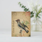 Moderne  Briefkaart voor het collage van vogelpest (Staand voorkant)