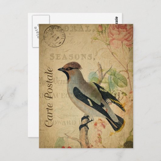 Moderne  Briefkaart voor het collage van vogelpest (Voorkant / Achterkant)