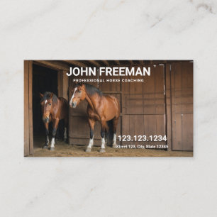 Moderne bruine paarden foto paarden coaching visitekaartje