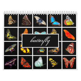 Moderne Butterfly-fotografie Kalender