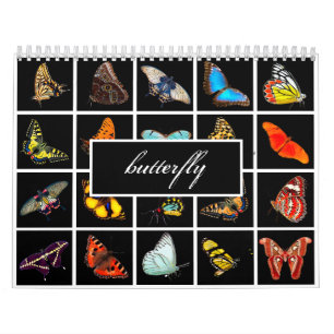 Moderne Butterfly-fotografie Kalender