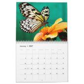 Moderne Butterfly-fotografie Kalender (Jan 2027)