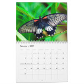 Moderne Butterfly-fotografie Kalender (Feb 2027)