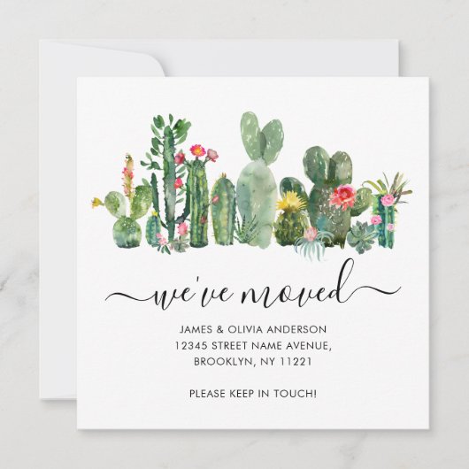 Moderne Cacti-woestijnPlanten die we hebben verpla Aankondiging (Voorkant)