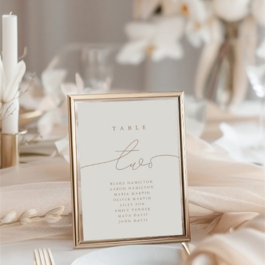 Moderne Calligrafie Neutrale Tabel Twee Tabelnumme