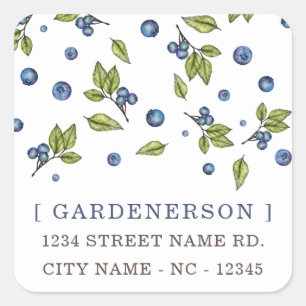 Moderne Chic Blueberries Square Sticker