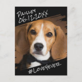 Moderne Chic Elegante Eenvoudige Zwarte Hond Aande Briefkaart (Voorkant)